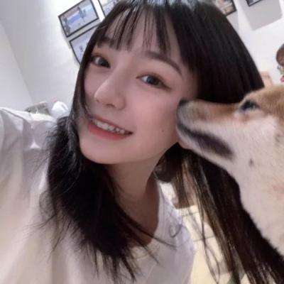 澳门4949资料免费大全手机app下载